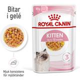 Royal Canin Fhn Kitten In Jelly 85G