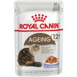 Royal canin ageing 12 Royal Canin Fhn Ageing +12 Jelly 85G