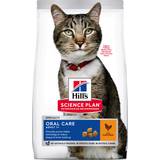 Hills Cats Pets Hills Science Plan Feline Adult Oral Care Chicken 7kg