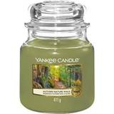 Yankee Candle Autumn Nature Walk Scented Candle 623g
