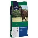 Blue Grooming & Care Dodson & Horrell Pasture Mix 20kg