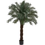Nearly Natural Cycas Artificial Tree 72"