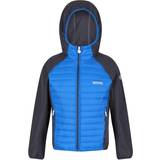 Polyamide - Winter jackets Regatta Kid's Kielder V Hybrid Insulated Jacket - Imperial Blue/India Grey (RKN116-LLN)