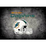 Imperial Miami Dolphins Distressed Rug