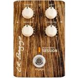 Natural Pedals for Musical Instruments LR Baggs Align Session