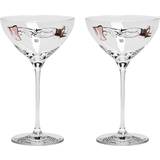 Sara Woodrow Champagne Glasses Kosta Boda All about you Champagne Glass 32cl 2pcs