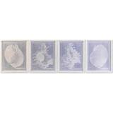 Dkd Home Decor Painting Crystal Rattan Snail (50 x 60 x 2,5 cm) (4 Units) Framed Art