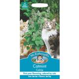Herb Seeds Mr. Fothergill's Catmint (Nepeta Cataria) Seeds