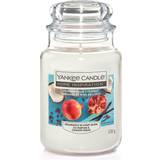 Yankee Candle Pomegranate Coconut Scented Candle 538g