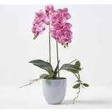 Vases Homescapes Pink Orchid 54 cm Phalaenopsis in Ceramic Pot Vase
