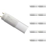 Daylight Fluorescent Lamps Crompton Lamps LED 5ft T8 Tube 24W (10 Pack) Daylight