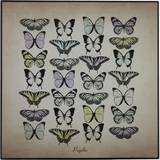 Premier Housewares Papilio Butterfly Wall Plaque Wall Decor