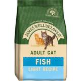 James Wellbeloved Cats Pets James Wellbeloved Jwb Adult Cat Light Fish & Rice 1.5kg