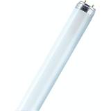 Osram Sylvania LUMILUX Fluorescent Tube 58 W 5200 lm Cool White Light