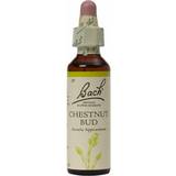 Liquids Supplements Bach Flower Chestnut Bud, 20ml