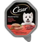 Cesar Pets Cesar Classic Trays 14 150g Chicken & Turkey