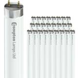 Red Fluorescent Lamps Crompton Lamps 40W Candle E27 Dimmable Fireglow Red