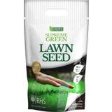 Seeds Empathy Supreme Green Lawnseed With