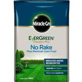 Rakes on sale Evergreen No Rake Moss Remover 50m2
