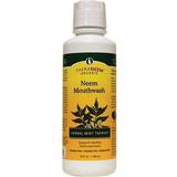 South, TheraNeem Naturals, Herbal Mint, Mouthwash, 480ml