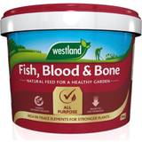 Plant Food & Fertilizers Westland Fish, Blood & Bone All Purpose Plant Food Ready To Use