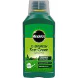 Plant Food & Fertilizers on sale Miracle-Gro Evergreen Fast Concentrate