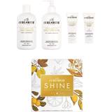 Leave-in Gift Boxes & Sets Curlsmith Shine Kit