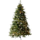 Charles Bentley Luxury Christmas Tree 183cm