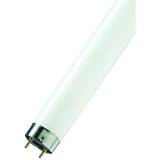 Daylight Fluorescent Lamps Crompton 15W T8 Fluorescent Tube Triphosphor High Output Lighting Daylight
