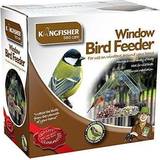 Bird & Insects Pets Kingfisher Market BFWINDOW Clear Perspex Window Viewing Suction