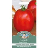Fothergills Vegetable Seeds Tomato Super Sauce F1 Plum