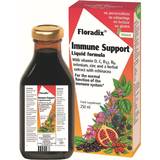 Floradix Vitamins & Supplements Floradix Immune Support Liquid Formula