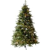 Pre lit christmas tree Charles Bentley Luxury Pre-Lit Hinged Artificial Christmas Tree 213.4cm