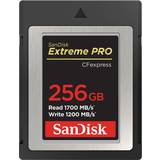 Extreme pro sandisk SanDisk 256GB Extreme PRO CFexpress Card Type B