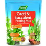 Soil Westland Cacti & Succulent Potting Mix