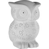 Freemans Premier Housewares Kids Ceramic Owl Night Light Night Light