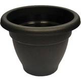 Cookware WINCHESTER Round Bell Pot Ebony 40cm 24 cm