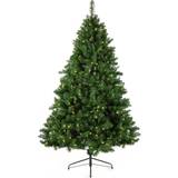 6ft pre lit christmas tree B&Q 6ft Oregon Pine Pre-Lit Artificial Christmas Tree 182.9cm