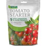 Vegetable Seeds Tomato Starter TS06BIS