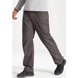 Brown Trousers & Shorts Craghoppers Kiwi Man