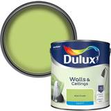 Dulux Blue - Ceiling Paints Dulux Standard Kiwi Crush Matt Emulsion Wall Paint, Ceiling Paint Black, Blue