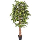 Homescapes Artificial Ficus Tree with Twisted Real Wood Trunk, 6 Christmas Tree
