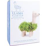 Flower Seeds Gift Republic Llama Planter