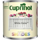 Cuprinol White Paint Cuprinol Garden Shades Tester Paint Pot Daisy White