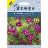 Johnson's Flower Seeds Dwarf Cosmos