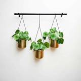Pots Joules Clothing Ivyline Linear Hanging Planters