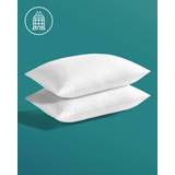 Kally Sleep Essentials Anti-Allergy Plus Pillows Twin Pack Down Pillow
