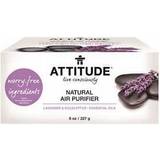 Attitude Bio Absorbant Air Purifier Lemon 8 oz