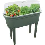 Greenhouses Geezy Green Raised Garden Bed Plant Box