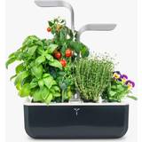 Plant Kits Veritable Soft Black Smart 4-Slot Garden